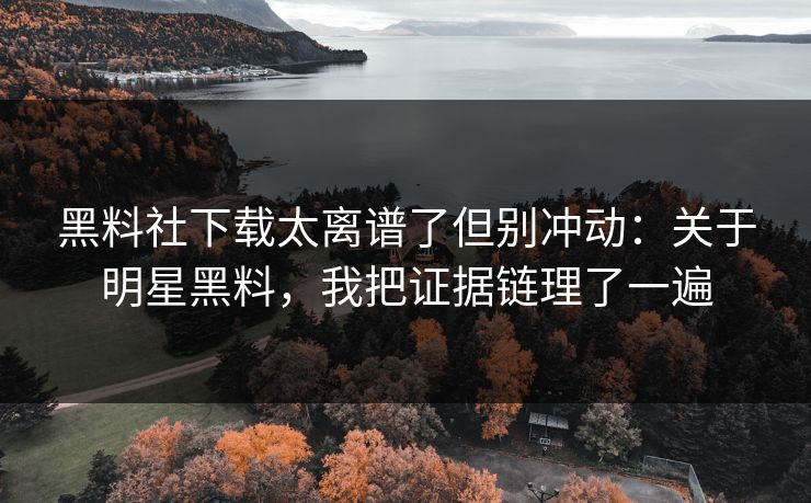 黑料社下载太离谱了但别冲动：关于明星黑料，我把证据链理了一遍