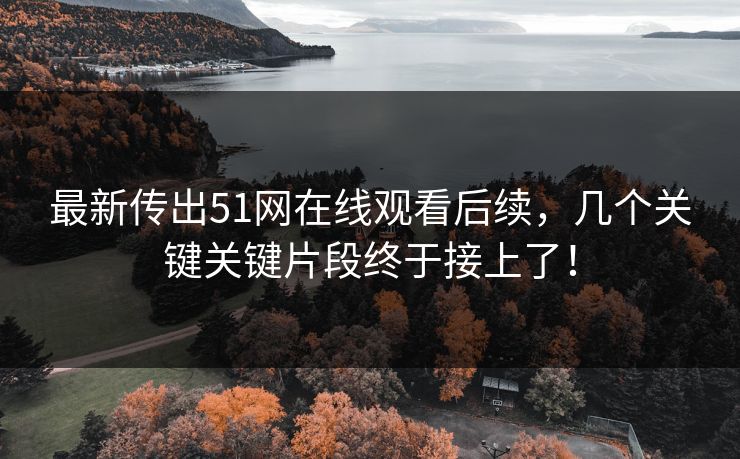 最新传出51网在线观看后续，几个关键关键片段终于接上了！