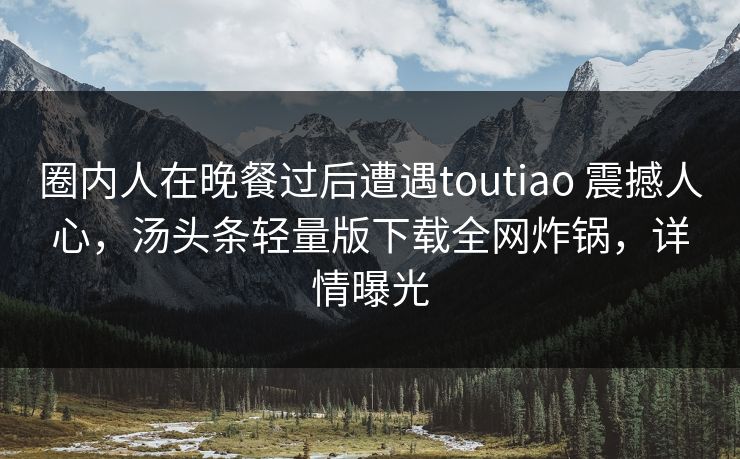 圈内人在晚餐过后遭遇toutiao 震撼人心，汤头条轻量版下载全网炸锅，详情曝光